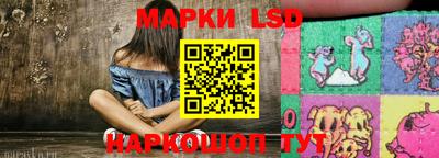 стафф Новозыбков