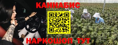 альфа пвп Новодвинск