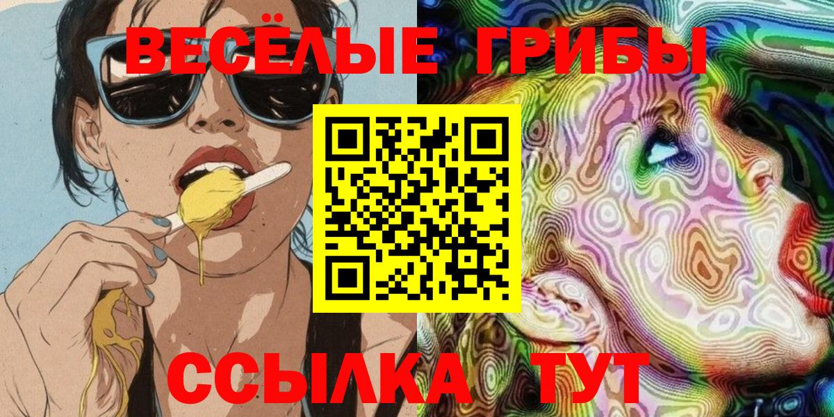 Галлюциногенные грибы Psilocybine cubensis  Вход с VPN  Тайшет 